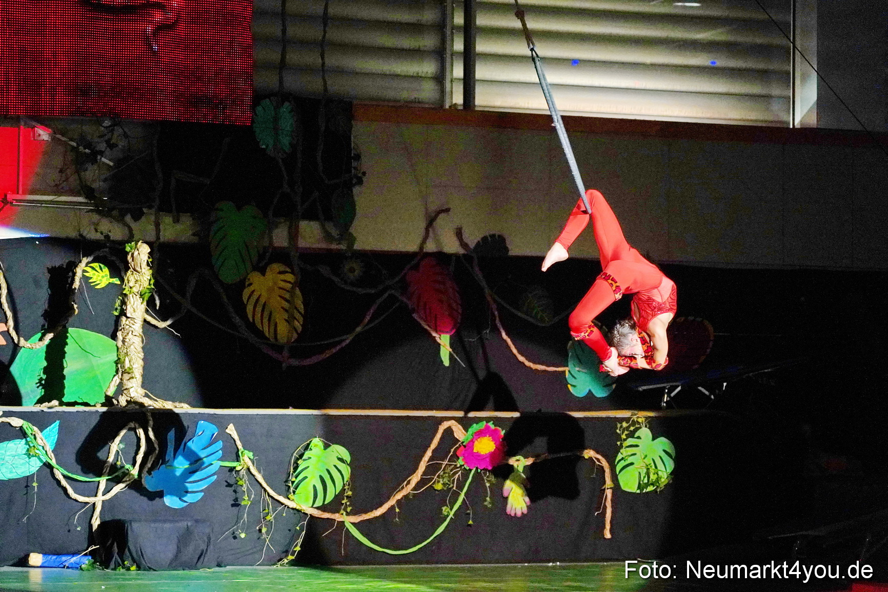 Artico Artistical Dschungelbuch 2020 0087